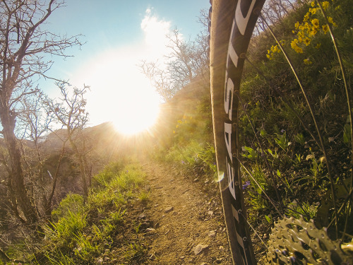 letsgonative:  Rob’s Trail - Canyons Resort, Utah © 2013 Alex Deckard All Rights Reserved. www.alexd