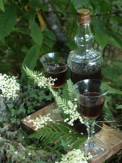 therealmofyavanna:Making Elderflower Cordial by Realm of Yavanna