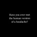 delightedobserverintraining:peony911:locallysoithern-deactivated2021:Daily&hellip;.