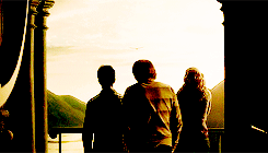 leiaorrgana:  Harry hadn’t counted on this; he had meant them to understand that