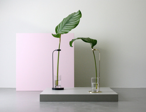 a quietly stunning vase for a stem by DUBOKK