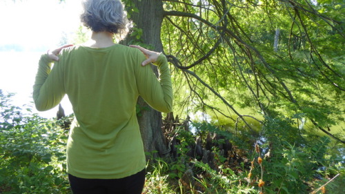 cyprus tree at Campus Lake in Carbondale. Photo credit r. Michael Fisher