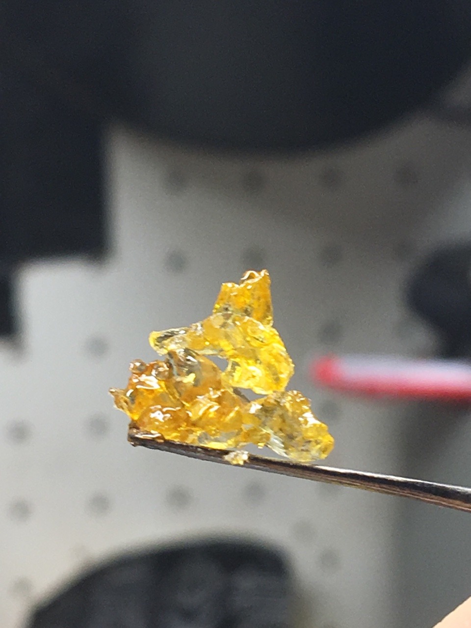 the-royal-oiler:    💍 I do 💎 