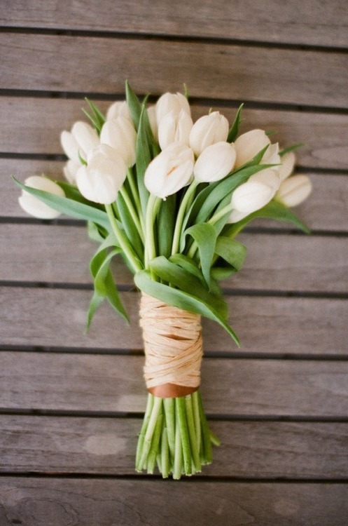 this-odd-in-me:   i would love to have some tulips <3 🌷🌷🌷  
