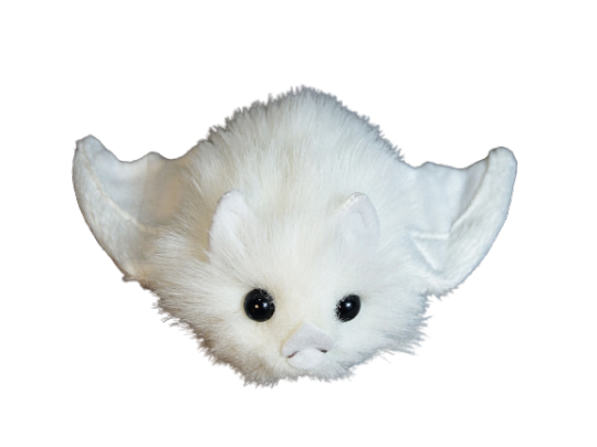 goobersplat:ALTALTALTALTALTALTMore Bat Plush! Albino Flying fox Plush, Black Bat, Choko Bat, Vlad the Vampire Stuffed Bat, Canyon Bat Plush, Cute Albino Bat Plush. 