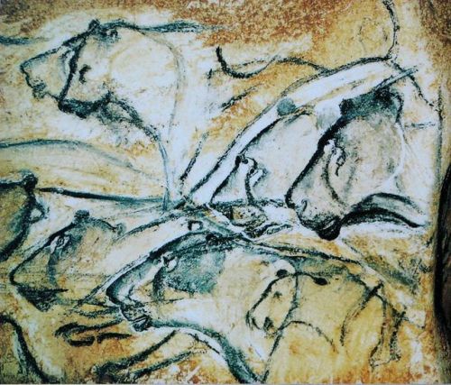 Replicas of paintings in the Chauvet Cave (France).  They date backaround 31,000 years, from the Aur