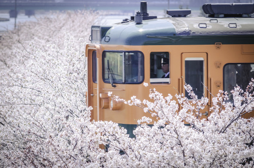 sasasatumblog:  越後線　青山駅〜関屋駅 