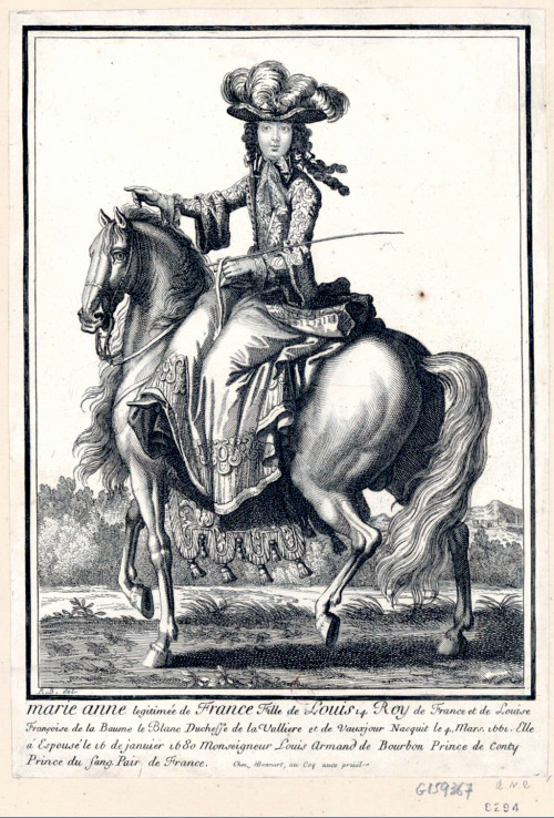 &ldquo;Portrait de Anne Marie de Bourbon, Princesse de Conti, à cheval&rdquo; Robert 