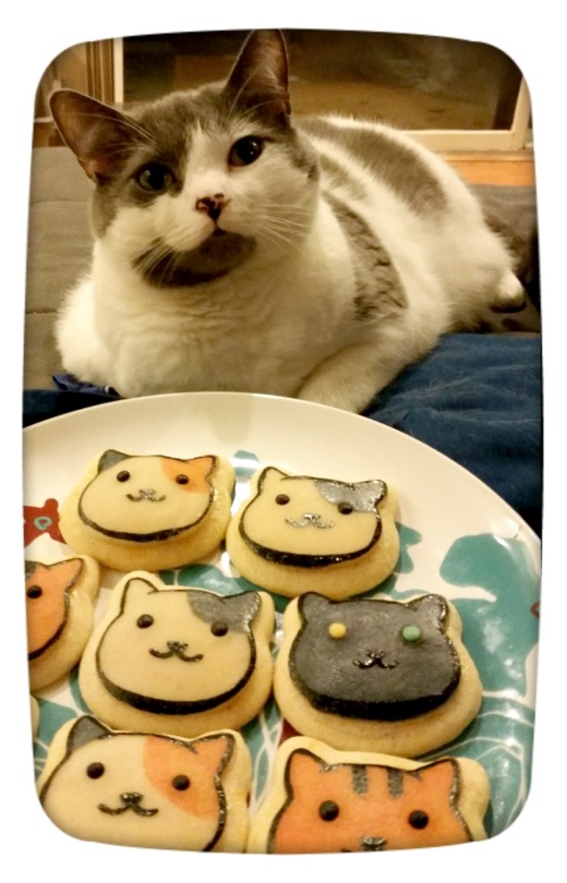 Eggs Benedict Was A Very Good Model For My Neko Atsume Cookies.