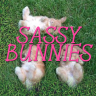 loud-and-queer:elisamaza:  loud-and-queer:madgastronomer:loud-and-queer:  is-the-rabbit-playing:thesassybunnies:A