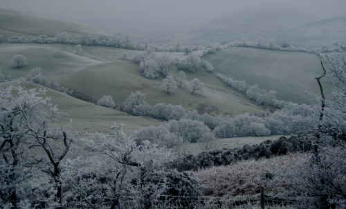 expressions-of-nature: Shropshire, England by Nigel Jones