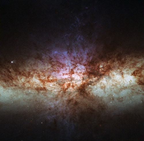 the-midnight-sky: The core of Messier 82, or the Cigar Galaxy (source)