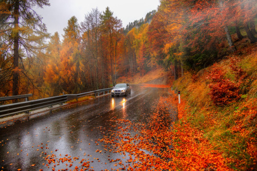 beautifulklicks:autumn serpentine ….Gordeev EduardThe Dolomites. October 2017