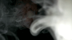 https://69.media.tumblr.com/d6d62a26d35f666df1da7211ef1ae5c5/tumblr_mweby6YBGN1s1mqm7o1_250.gif