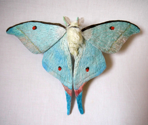 itscolossal:  Textile Moth and Butterfly Sculptures by Yumi Okita 