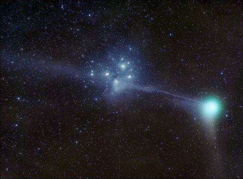 the-wolf-and-moon: Comet Machholz and the Pleiades