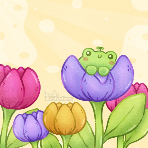Beanie In A Sea Of Tulips 🌷
