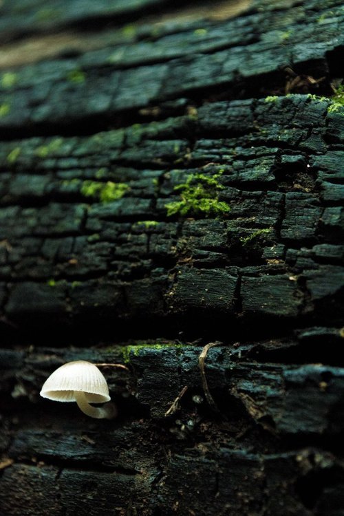 l0thl0rien:  ◊~Enter this Middle Earth~◊ 