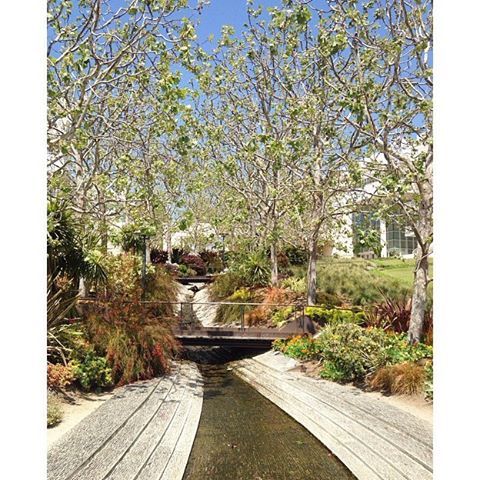 Such a beautiful museum #gettymuseum #gettyinspired #losangeles #garden #waterfall #inspiration #Cal