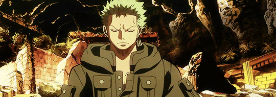 Zoro Gifs Screencaps