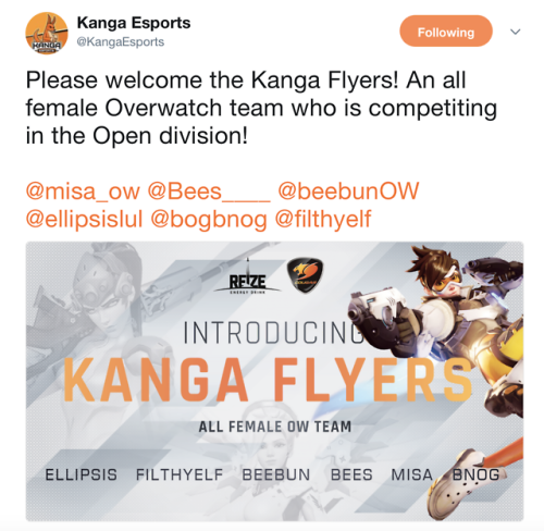 pockethealing:There’s an all female overwatch esports team hitting the scene for those interes