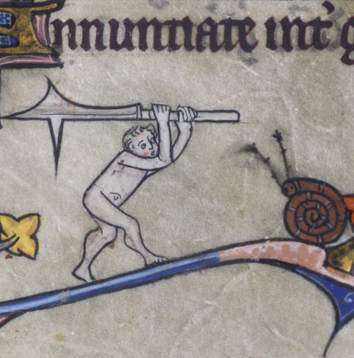 discardingimages:snailfight and an indifferent rabbitbook of hours, Flanders 14th centuryWalters Art