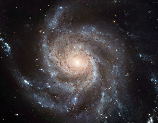 You are all little pieces of the universe. Just look at your body!
