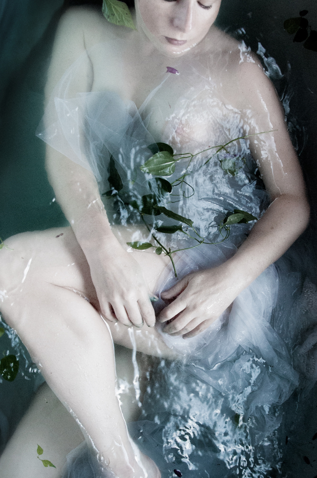 seaofcurves:  Cellophane