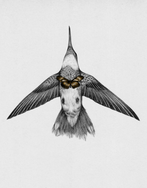 lohrien:  Illustrations by Peony Yip tumblr l society6