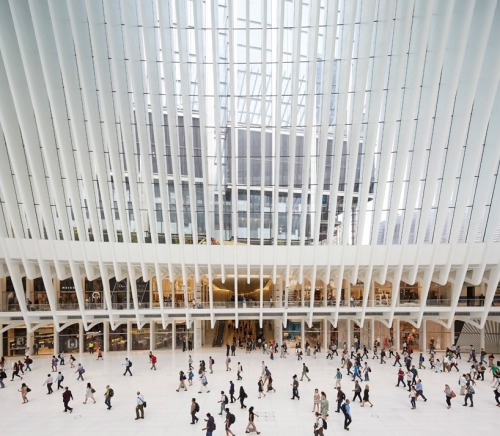 the oculus WTC new york by Santiago Calatrava