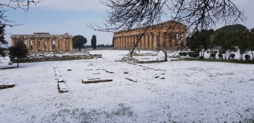 bucciluigi:Paestum 