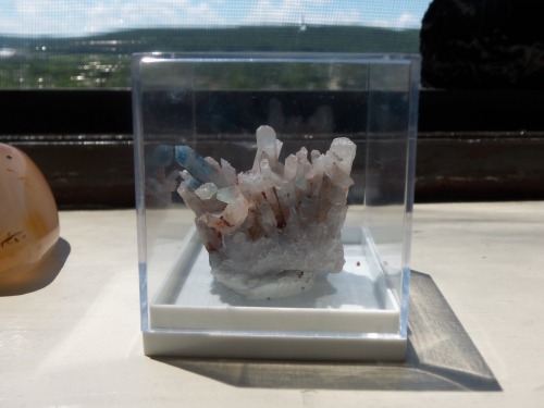 amber-skies-with-dragons:  The very beautiful and rare Papagonite.