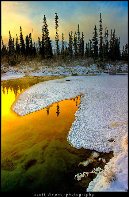 Jasper sunrise pond by Scott Dimond on Flickr.