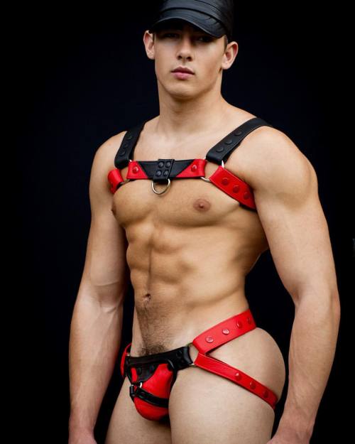 Diamond Hunks