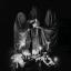 bruderdeslichtsblackmetal