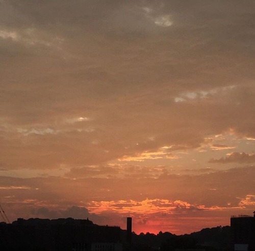 IL CIELO IN UNA STANZA