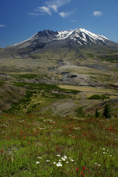 For Earth Day - Mt. St. Helens