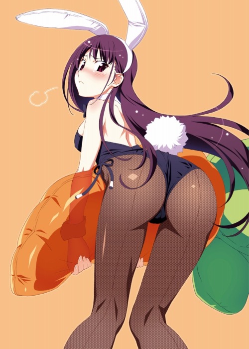 ぴた☆フェチちゃんねる : 虹のバニーガールの画像ください！