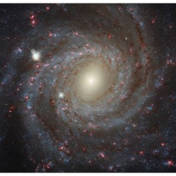 Facing NGC 3344 #nasa #apod #esa #hubble