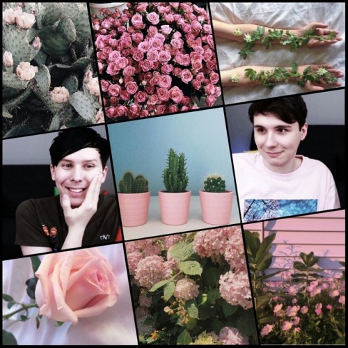 Dan and Phil + Plants moodboard ❤ (DnP screenshots by @dxntasies)