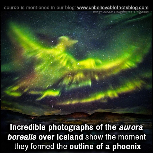 unbelievable-facts:  Incredible photographs of the aurora borealis over Iceland show