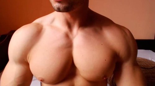keepemgrowin:  If only there was someone to play with his pumped-up pecs…