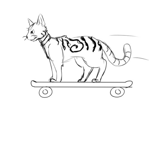 texdinoco:Gary commutes via skateboard. He’s not your average cat