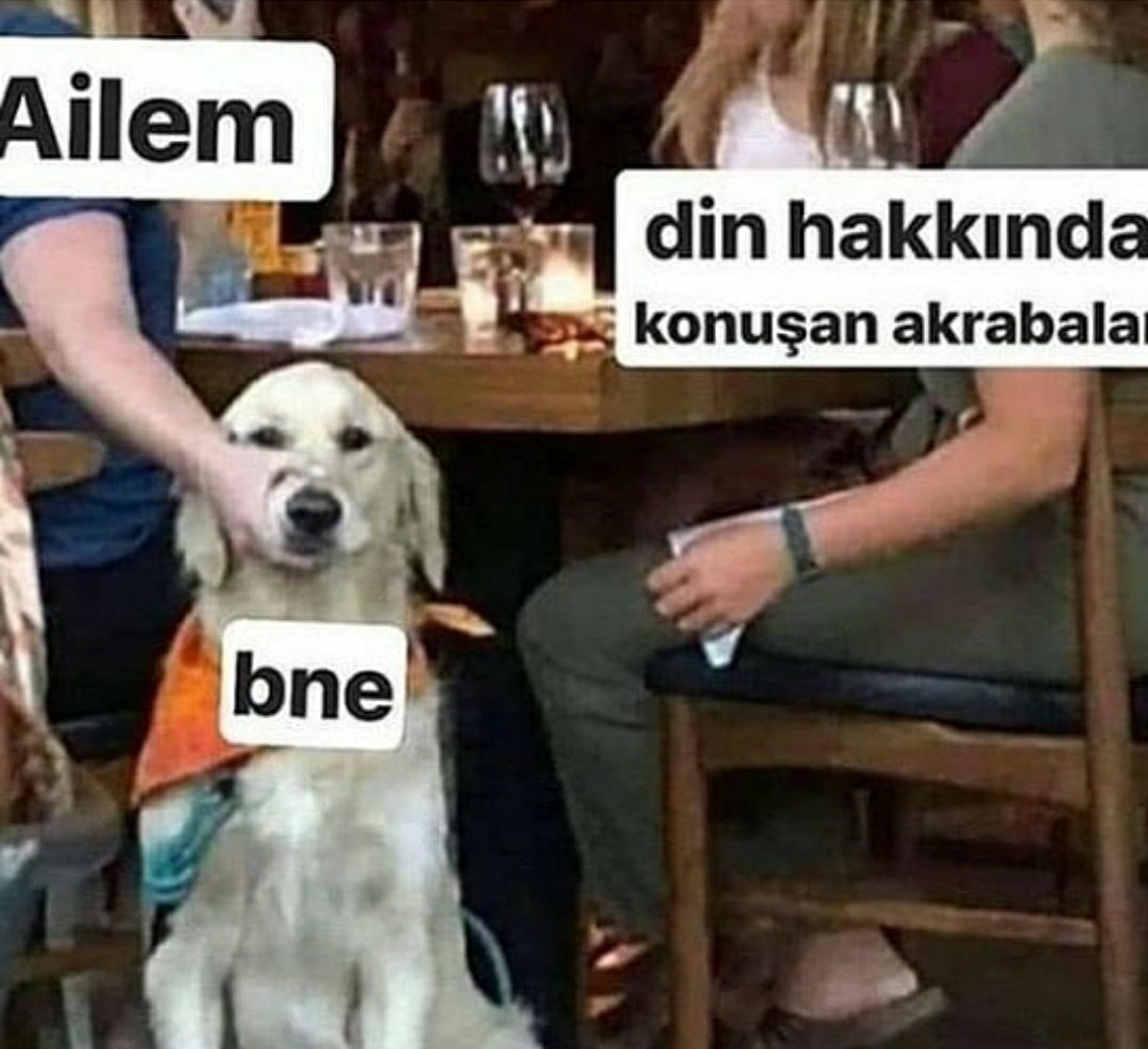 Ailem bne din hakkında...