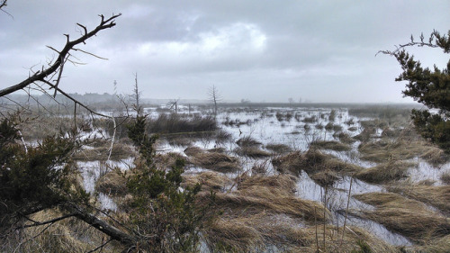 Brooding Final Day of Winter by CapeHatterasNPS on Flickr.
