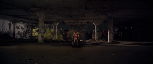 It Follows, 2014Director - David Robert MitchellCinematography - Mike Gioulakis