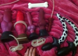 raithha:  the bright one might be going to queerpaccino, but heres the requested pic of some of my puppy play stuff. i really need to get a harness for those. i want to get this, and this, aand this. then ill b happy   i’m so jelly of those tails though,