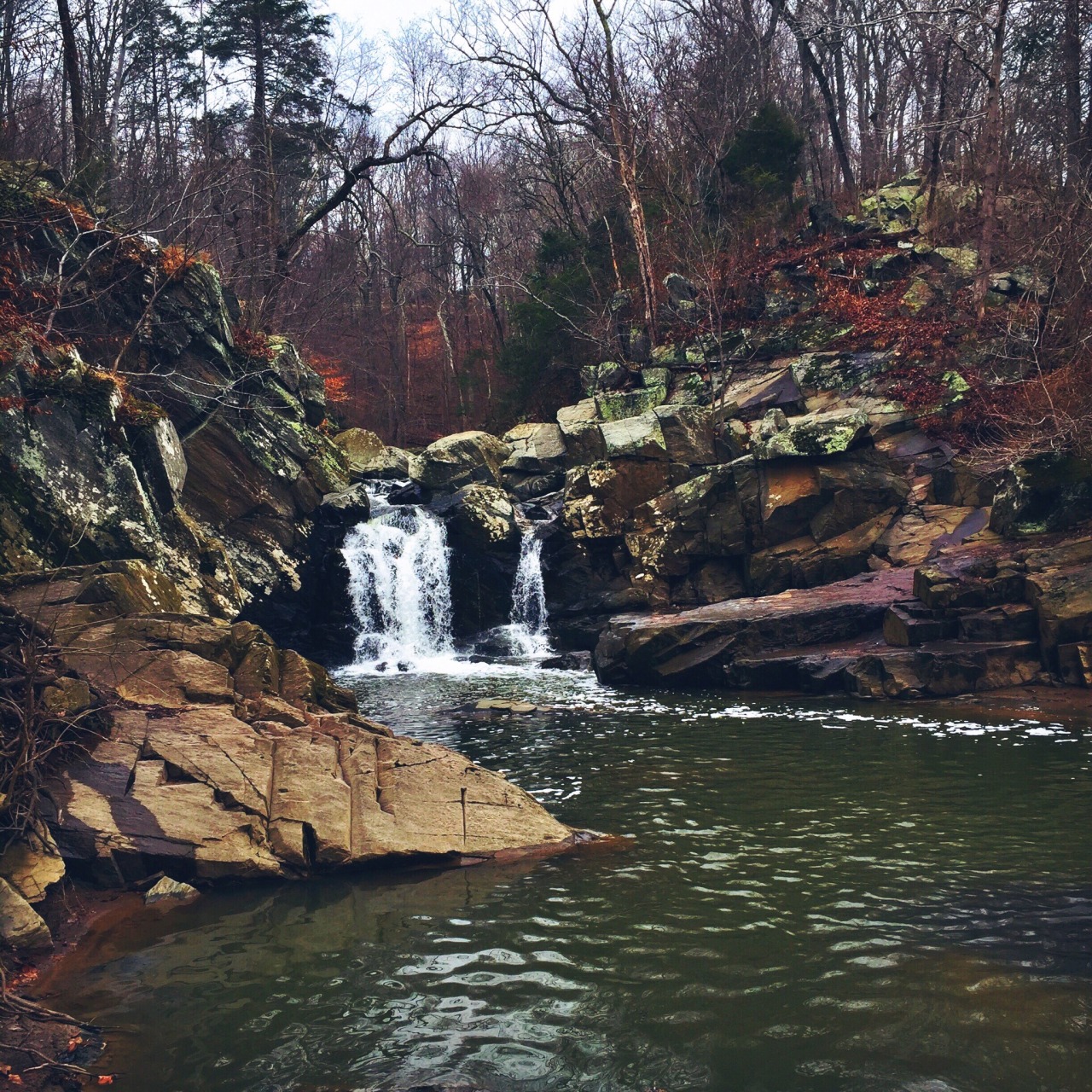 danielodowd:  http://maddyclark.vsco.co/