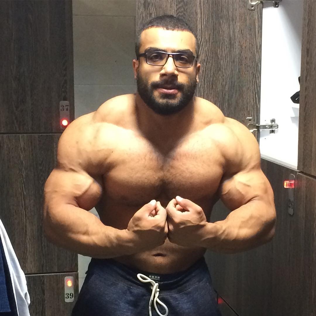 ARAB AND MIDDLE EASTERN MUSCLE
