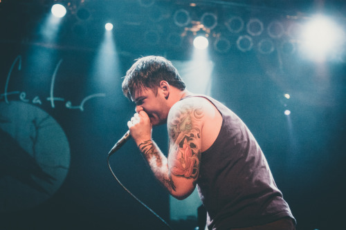 Sex backseatmarinade:  Beartooth (by Anam.Merchant) pictures